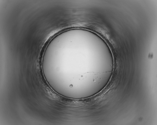 X0000100231308200806131327