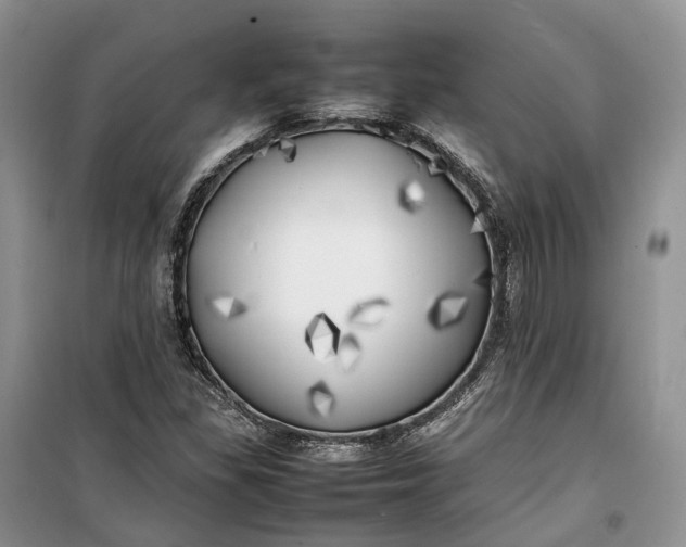 X0000100231309200806131327