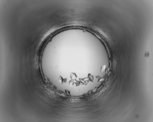 X0000100231310200806131327