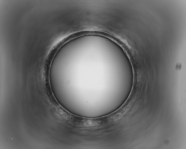 X0000100231311200806131327