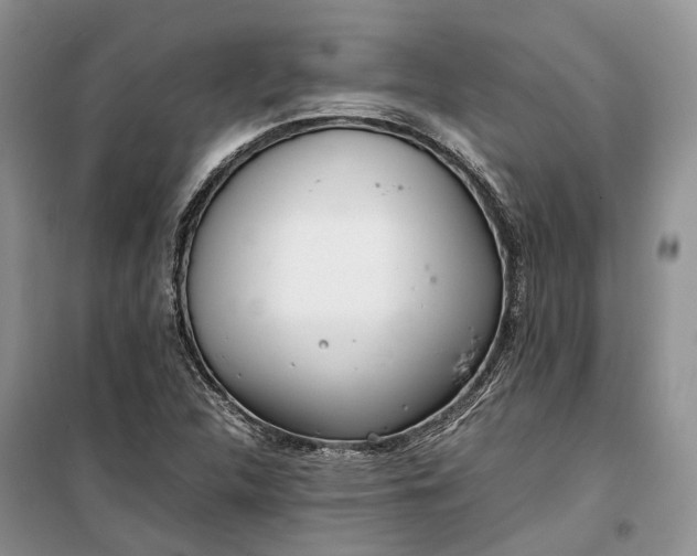 X0000100231312200806131327