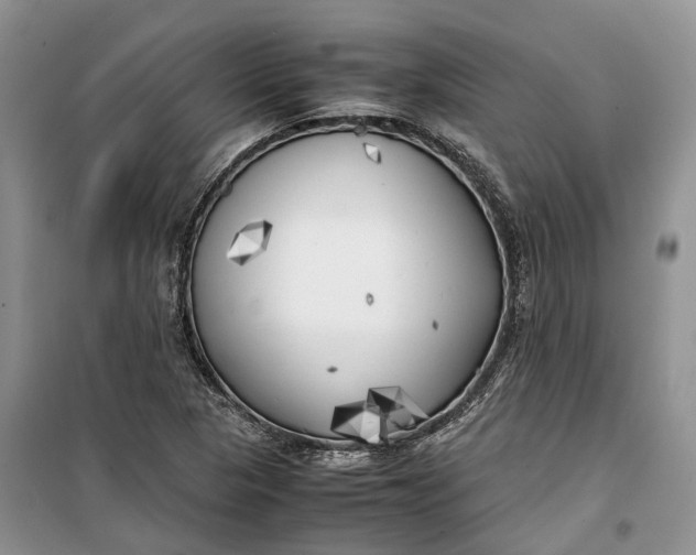 X0000100231313200806131327