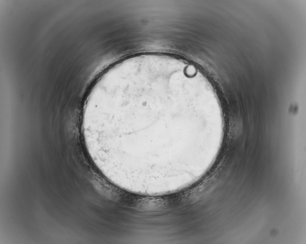 X0000100231314200806131327