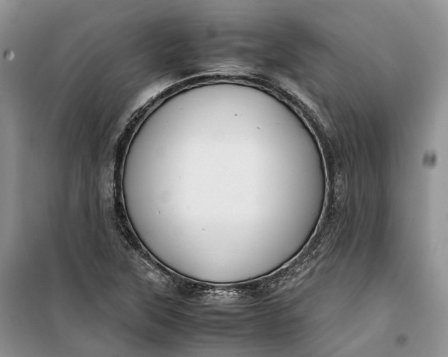 X0000100231315200806131327