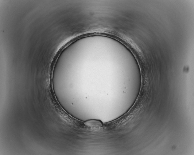 X0000100231316200806131327