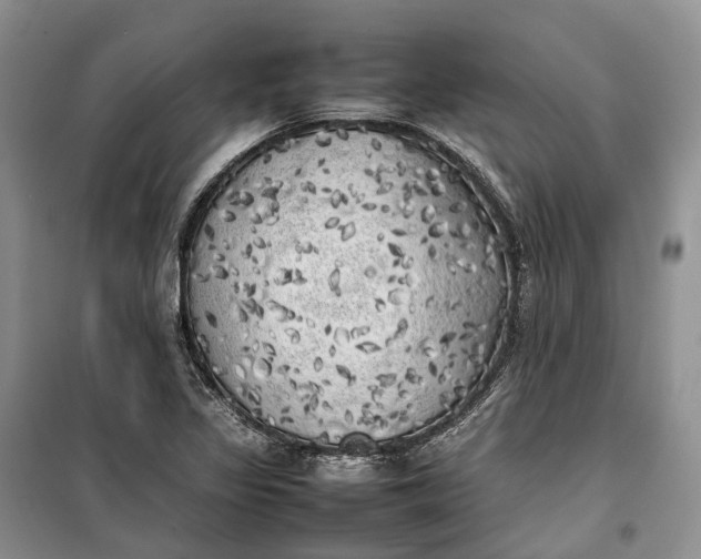 X0000100231317200806131327