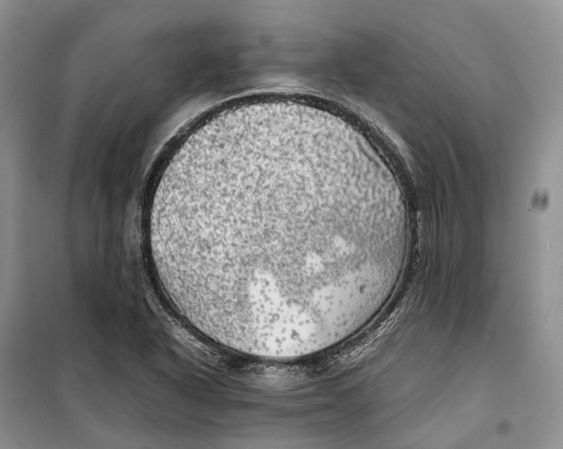 X0000100231318200806131327