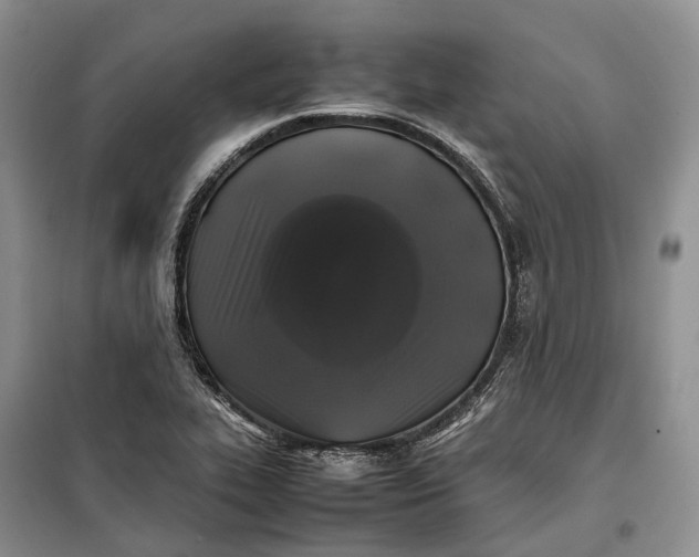 X0000100231319200806131327