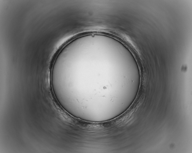 X0000100231320200806131327