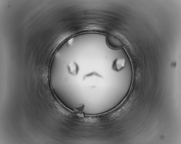 X0000100231321200806131327