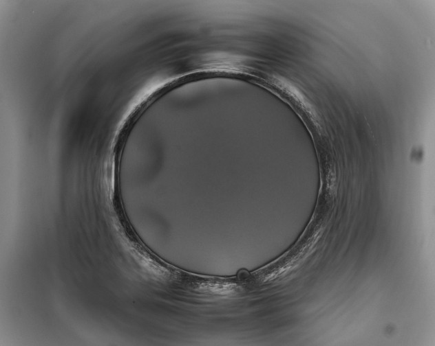 X0000100231323200806131327