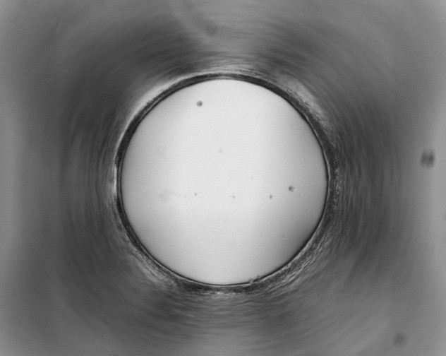 X0000100231324200806131327