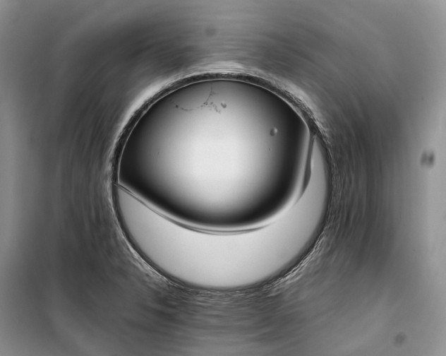 X0000100231326200806131328