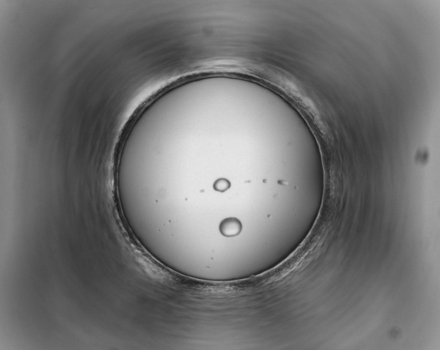 X0000100231328200806131328