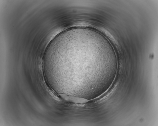 X0000100231329200806131328