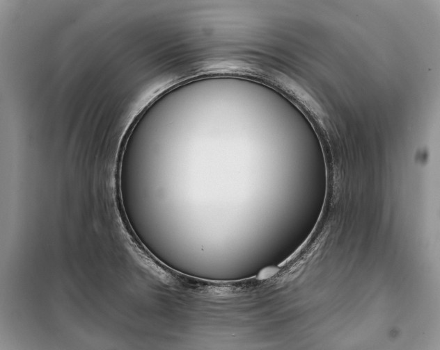 X0000100231330200806131328