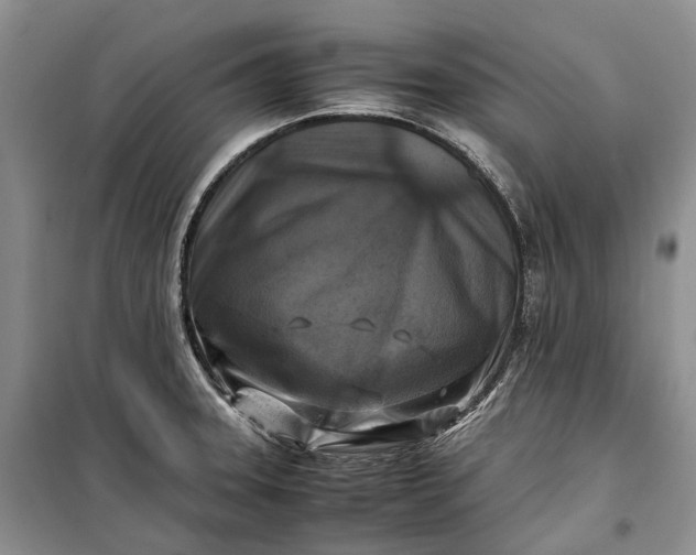 X0000100231331200806131328