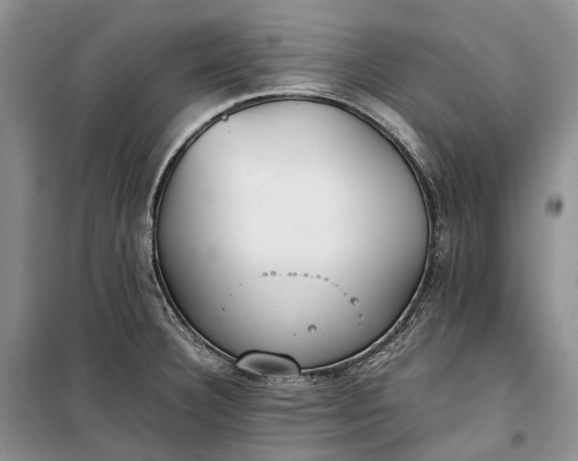 X0000100231332200806131328