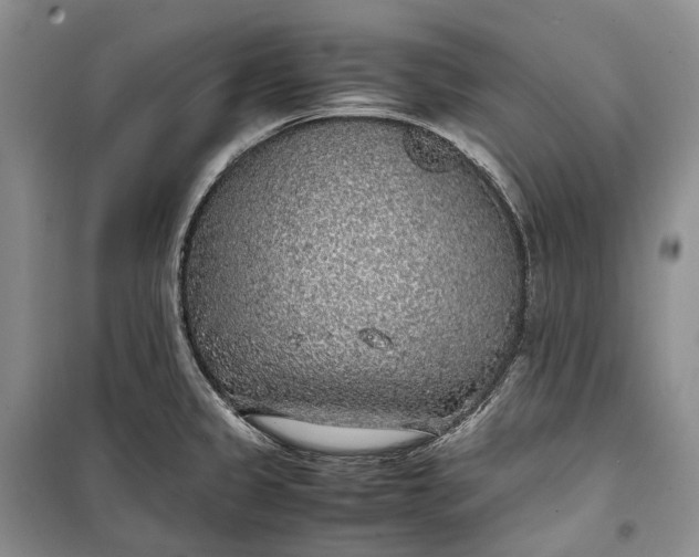 X0000100231333200806131328