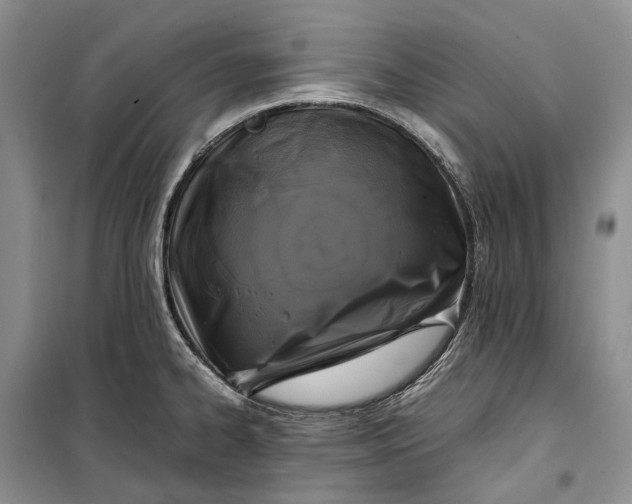 X0000100231334200806131328