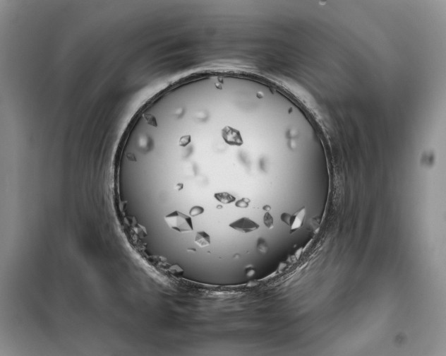 X0000100231335200806131328