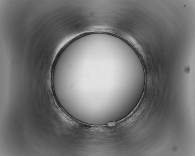 X0000100231336200806131328