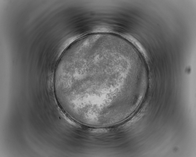 X0000100231337200806131328