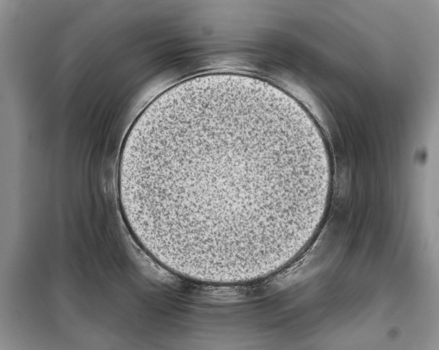 X0000100231338200806131328