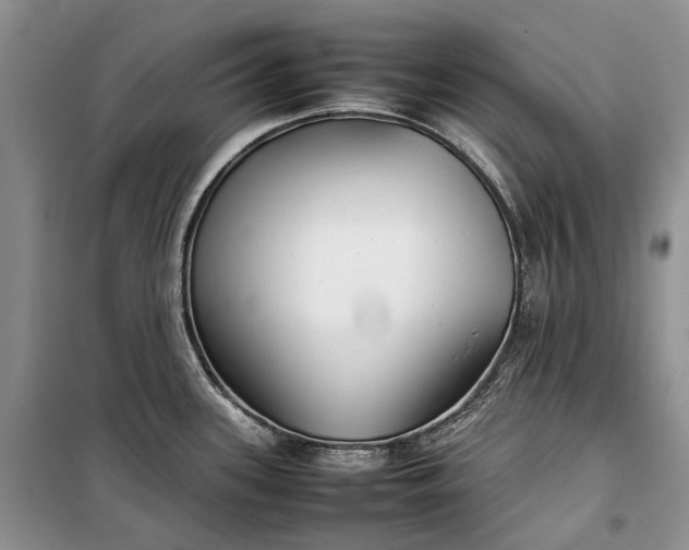 X0000100231339200806131328