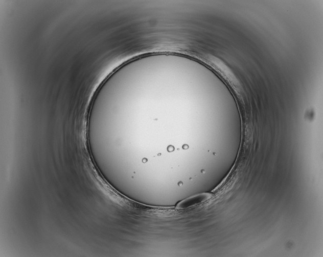 X0000100231340200806131328