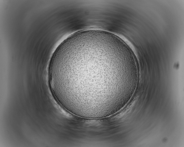 X0000100231341200806131328