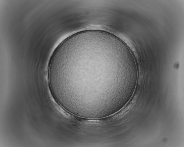 X0000100231342200806131328