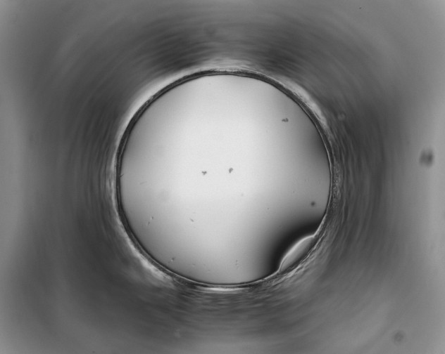 X0000100231343200806131328