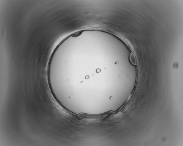 X0000100231344200806131328