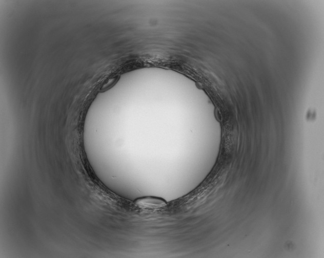 X0000100231345200806131327