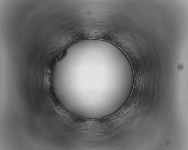 X0000100231346200806131327