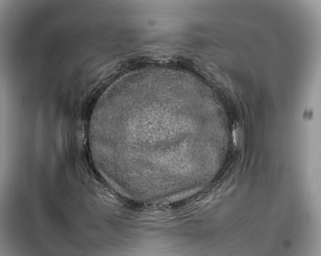 X0000100231347200806131327