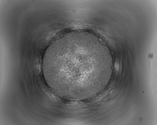 X0000100231348200806131327