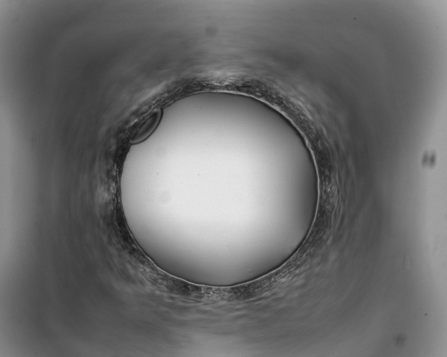 X0000100231349200806131327