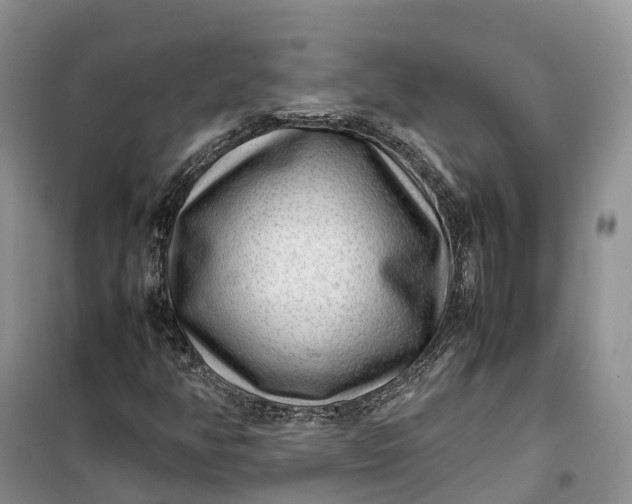 X0000100231350200806131327