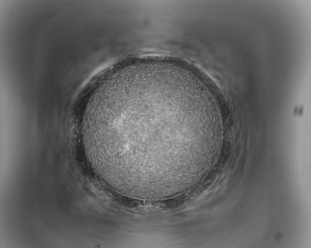 X0000100231351200806131327