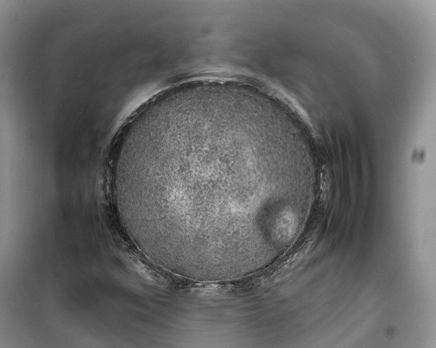 X0000100231352200806131327