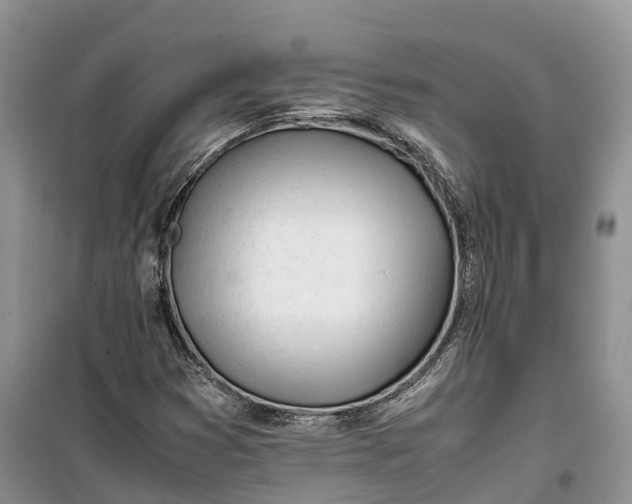 X0000100231353200806131327