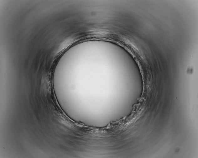 X0000100231354200806131327