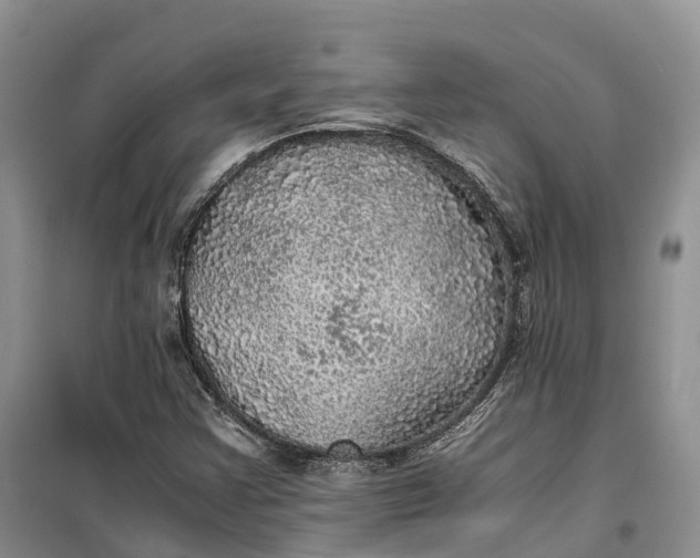 X0000100231355200806131327