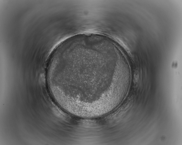 X0000100231356200806131327