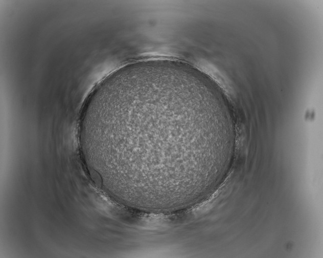 X0000100231357200806131327