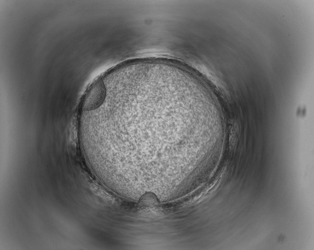 X0000100231358200806131327