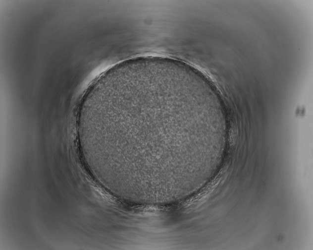 X0000100231359200806131327