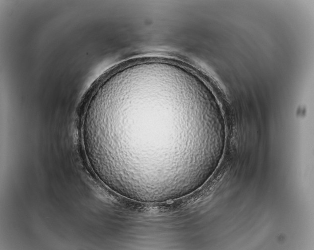 X0000100231360200806131327